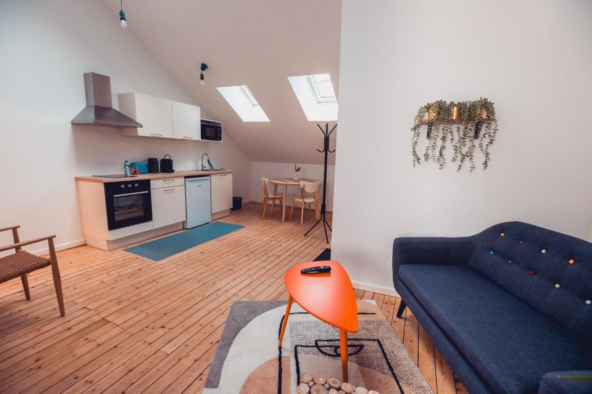 Loft Lumineux Tres Spacieux - Parking Gratuit Châteauroux Zewnętrze zdjęcie